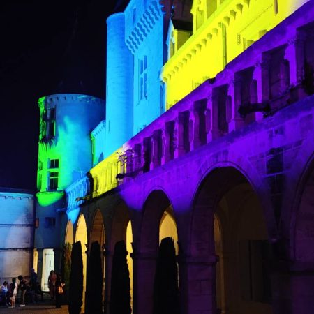 image festival confluent d'arts